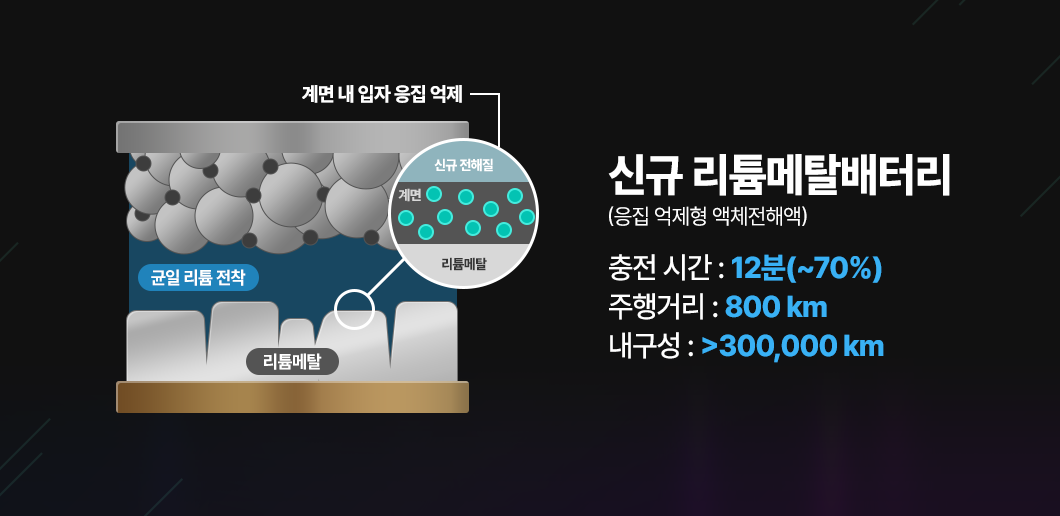 리튬 메탈 배터리 정보 그래픽