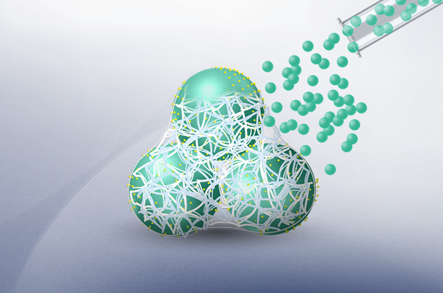 전지전능한 전지 이야기  바인더(Binder)