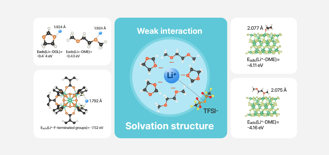 용매 구조와 리튬 이온 상호작용